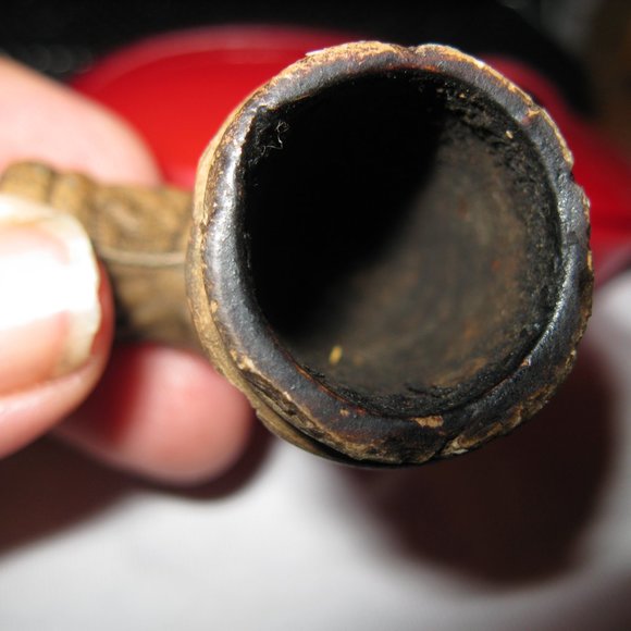 Indian Pipes from the mid west - Picture 12 of 16